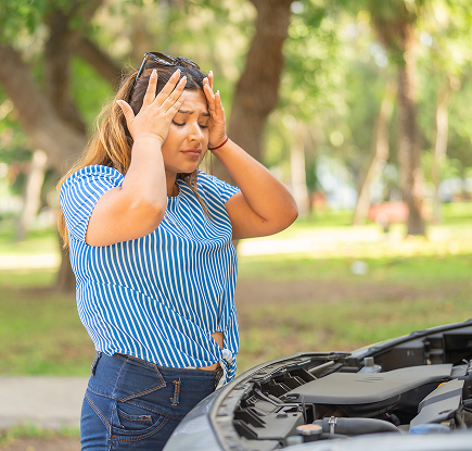 Motor Vehicle Insurance