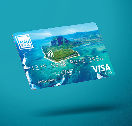 Visa Credit Classic